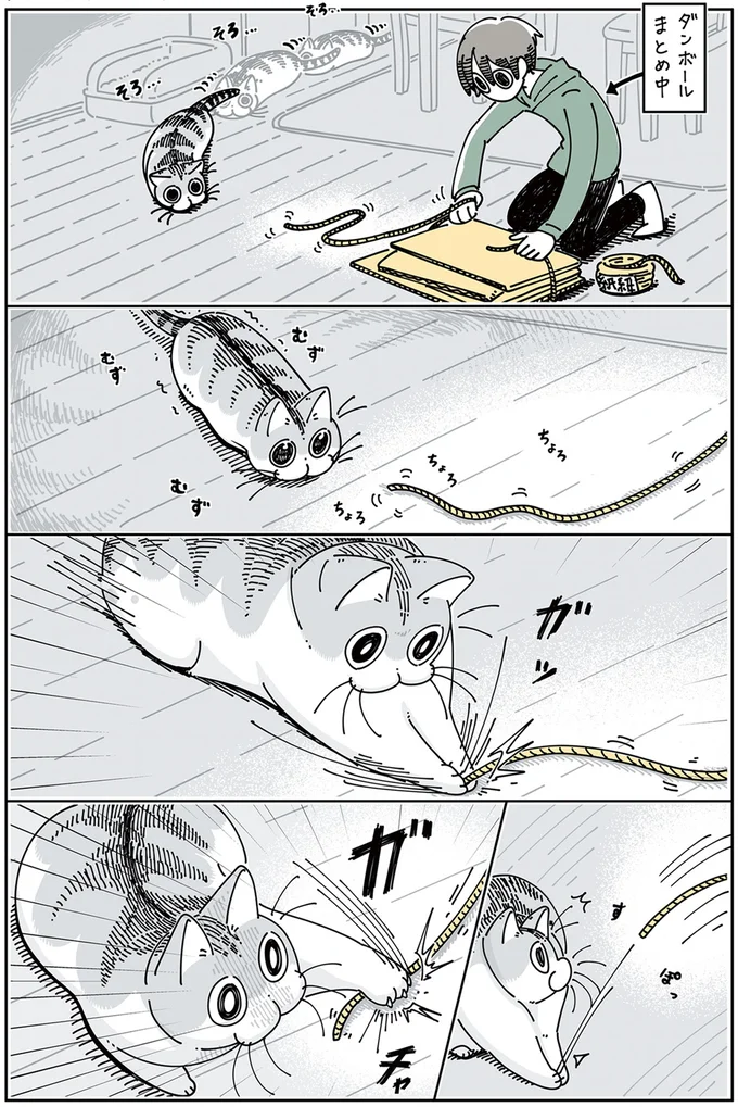 『夜は猫といっしょ』1～3 15776989.webp