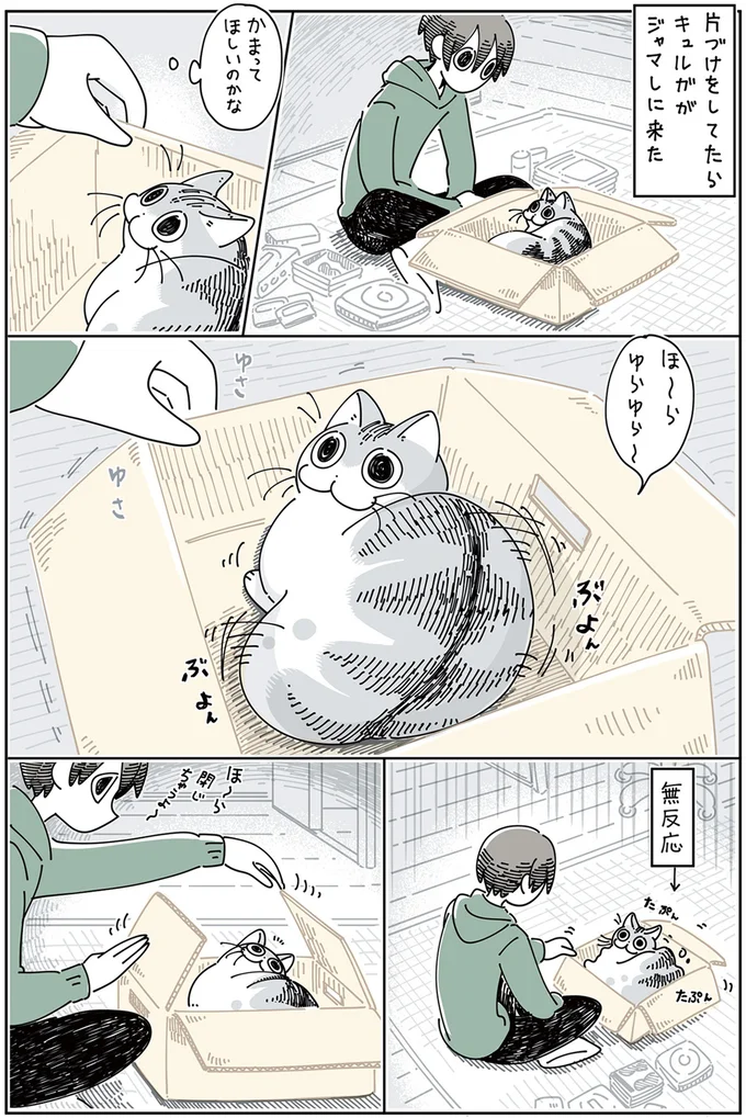 『夜は猫といっしょ』1～3 15776993.webp