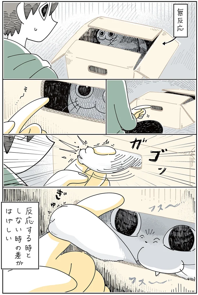 『夜は猫といっしょ』1～3 15776994.webp