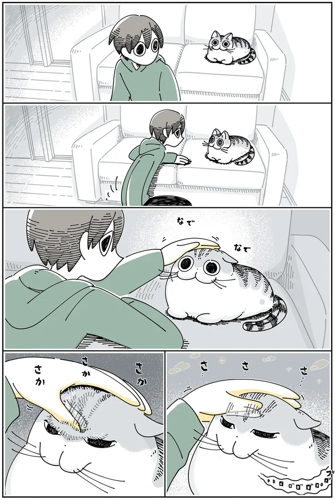 『夜は猫といっしょ』1～3 15776997.webp