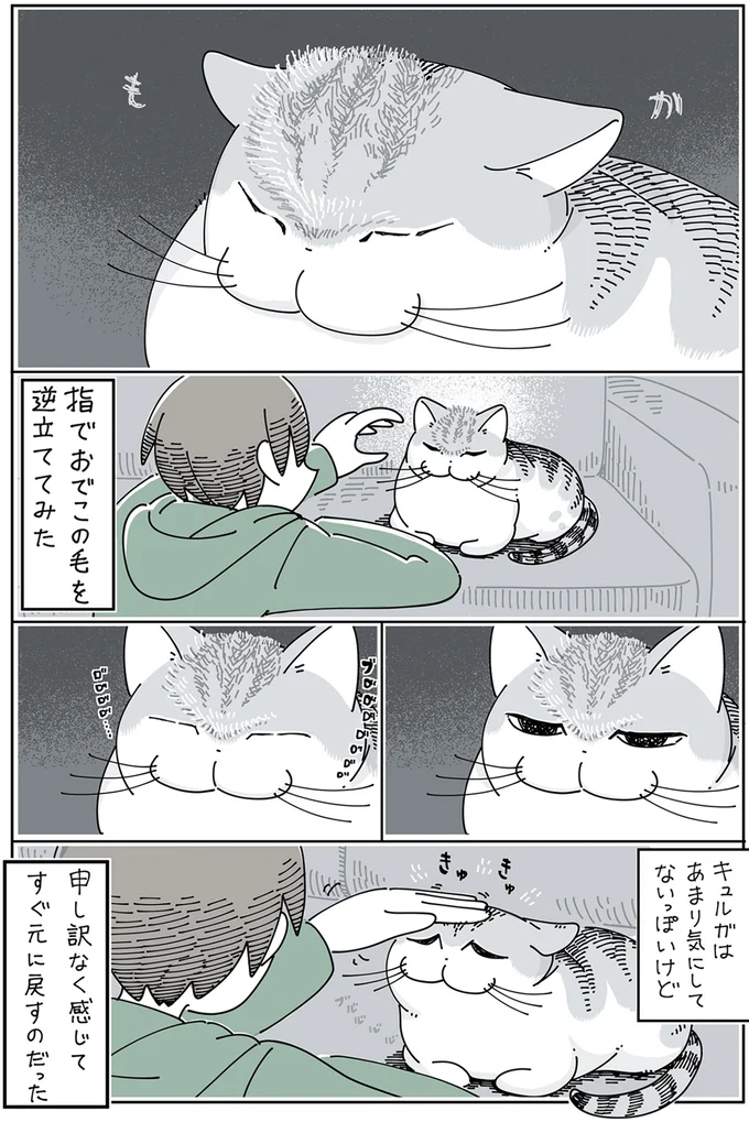 『夜は猫といっしょ』1～3 15776998.webp