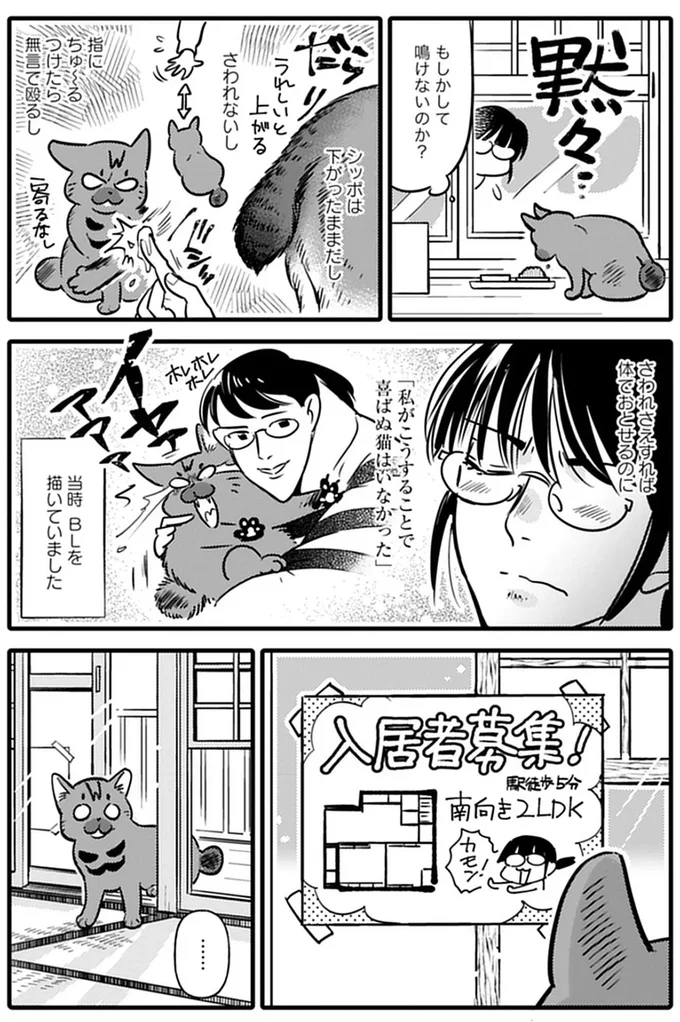 『ブリちゃん日記 猫なら産みたい』 15791618.webp