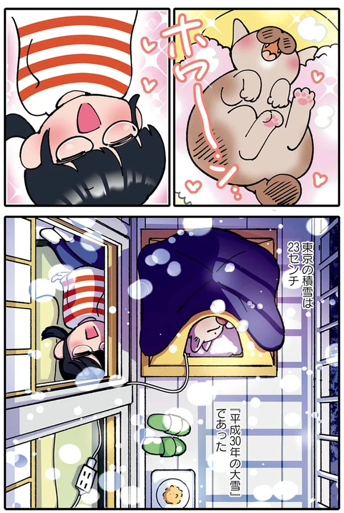 『ブリちゃん日記 猫なら産みたい』 15791621.webp