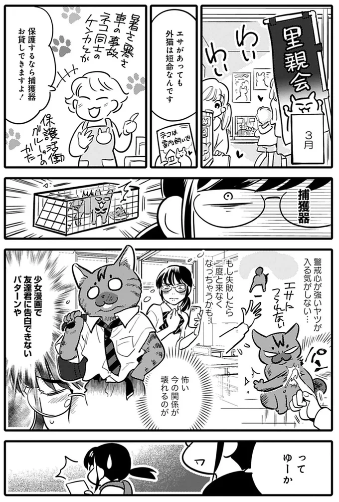 『ブリちゃん日記 猫なら産みたい』 15791645.webp