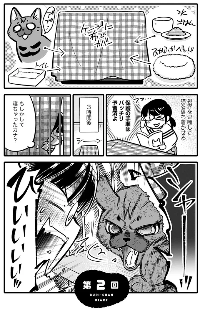 『ブリちゃん日記 猫なら産みたい』 15791695.webp
