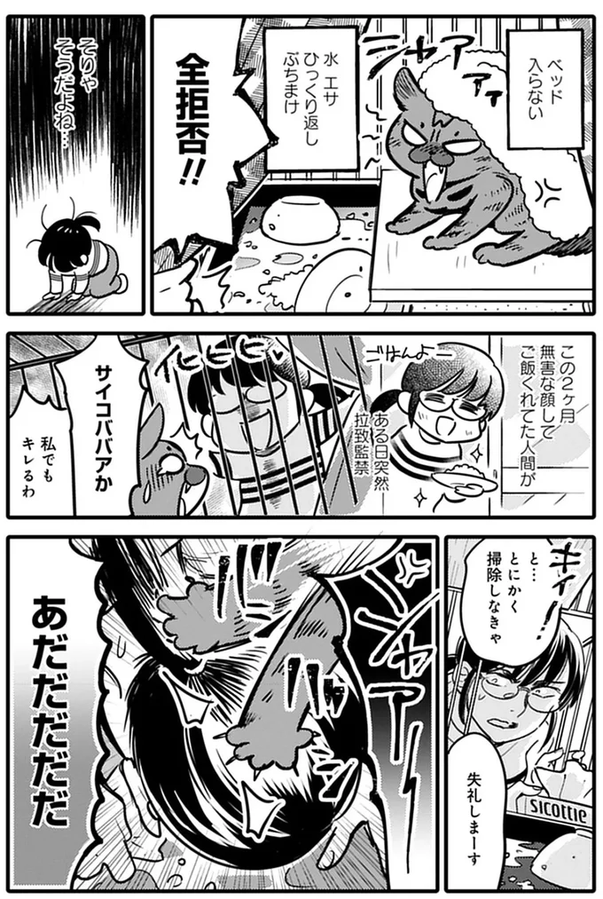 『ブリちゃん日記 猫なら産みたい』 15791696.webp