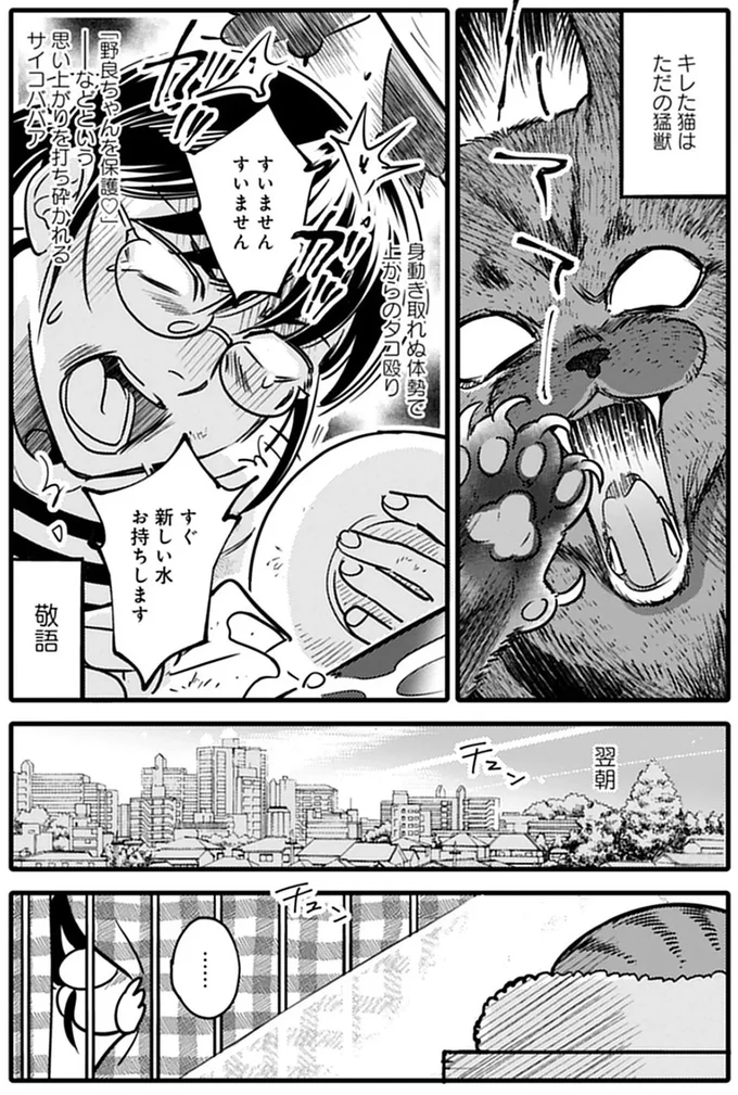 『ブリちゃん日記 猫なら産みたい』 15791697.webp