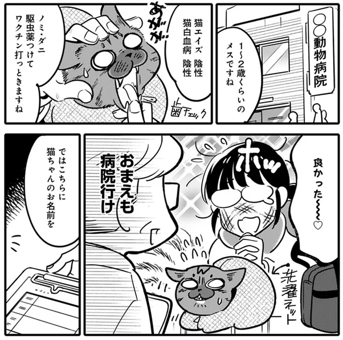 『ブリちゃん日記 猫なら産みたい』 15791983.webp