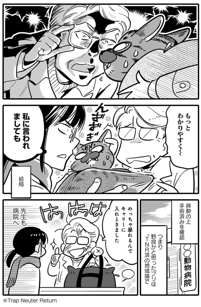 『ブリちゃん日記 猫なら産みたい』 15791988.webp