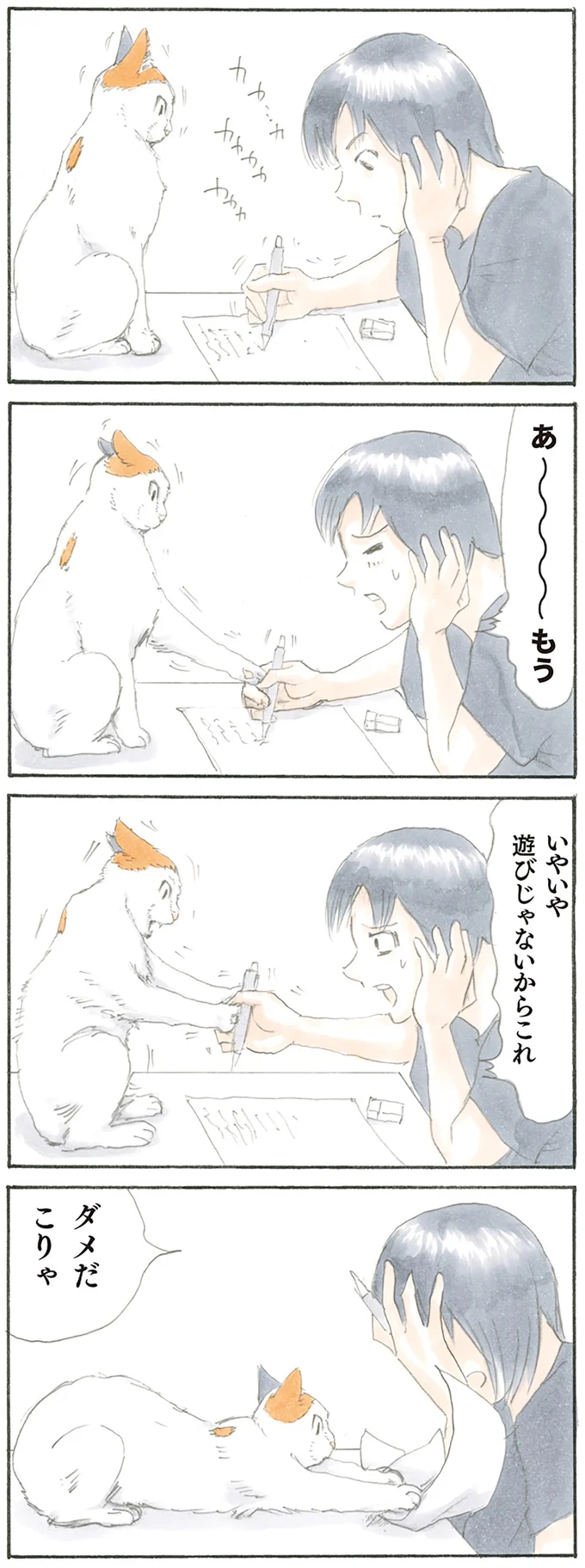 『拾い猫のモチャ1～8』 15808510.webp