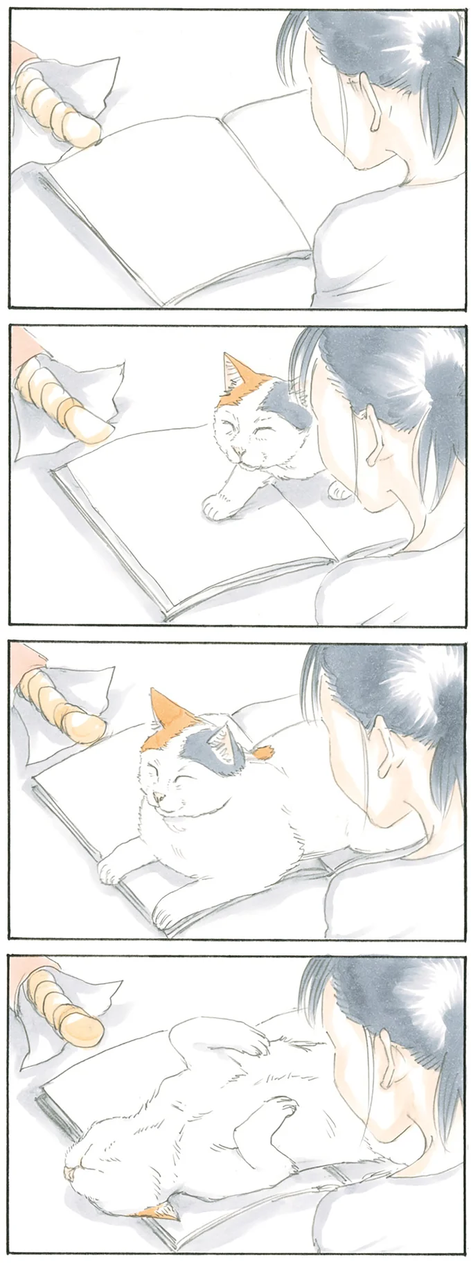 『拾い猫のモチャ1～8』 15808511.webp