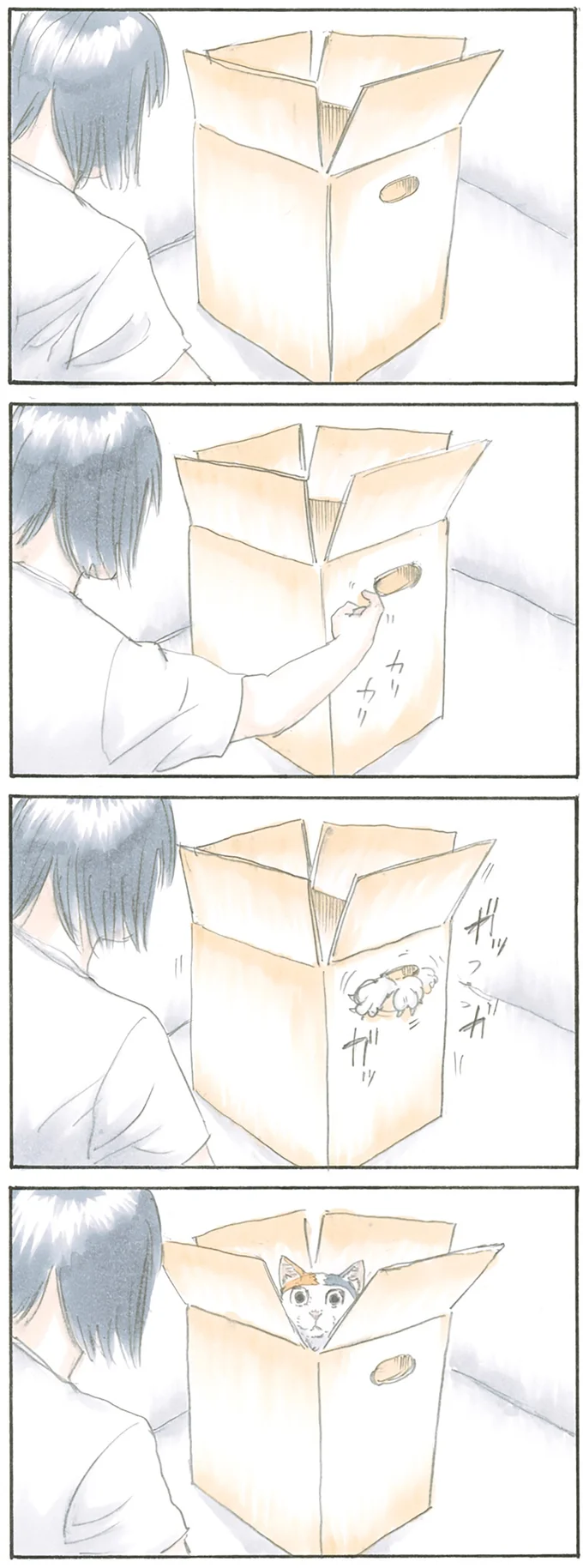 『拾い猫のモチャ1～8』 15808715.webp