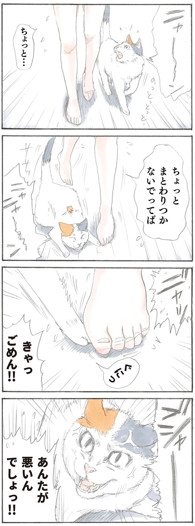 『拾い猫のモチャ1～8』 15808716.webp