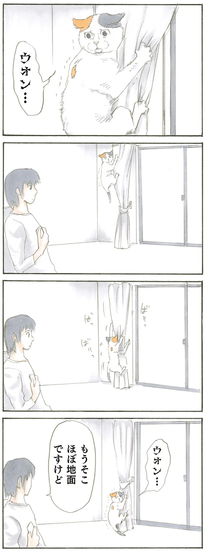 『拾い猫のモチャ1～8』 15809340.webp