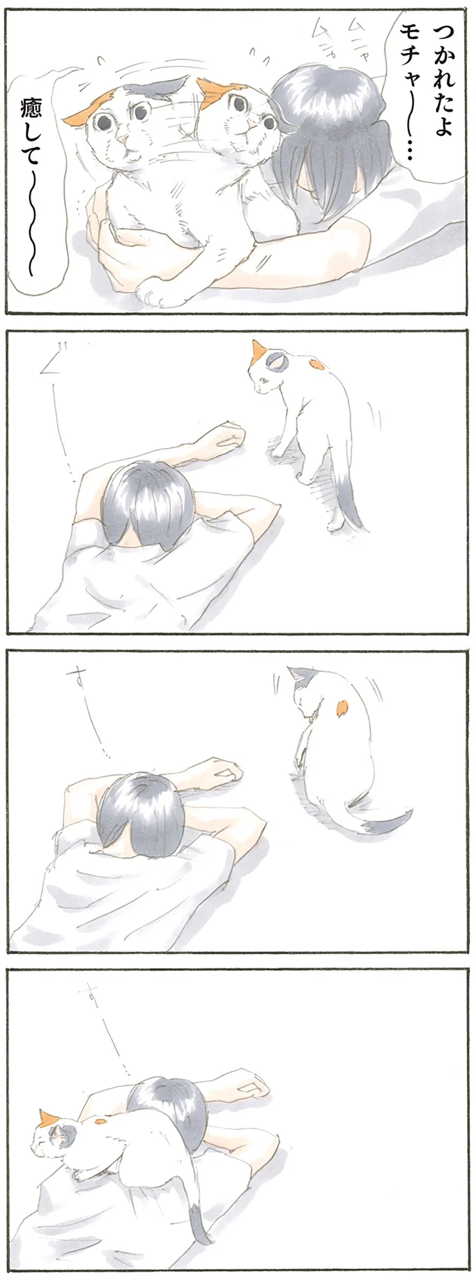 『拾い猫のモチャ1～8』 15809663.webp