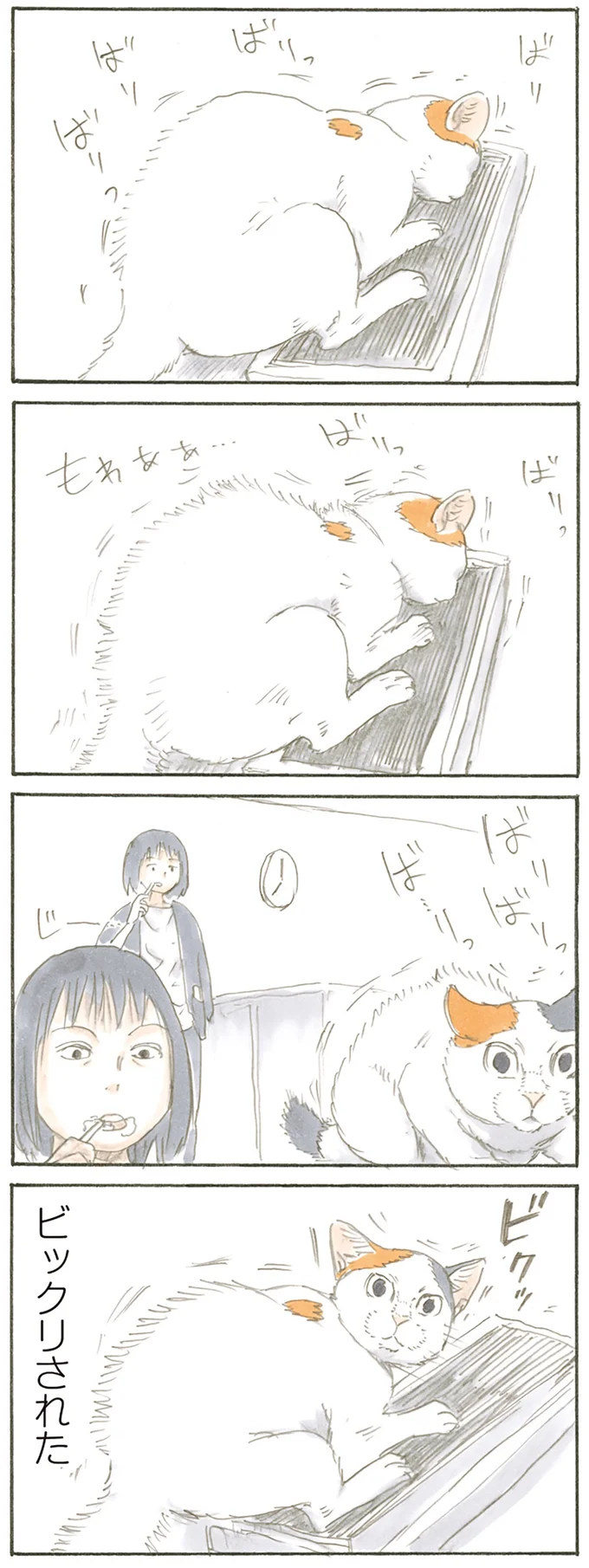 『拾い猫のモチャ1～8』 15809918.webp