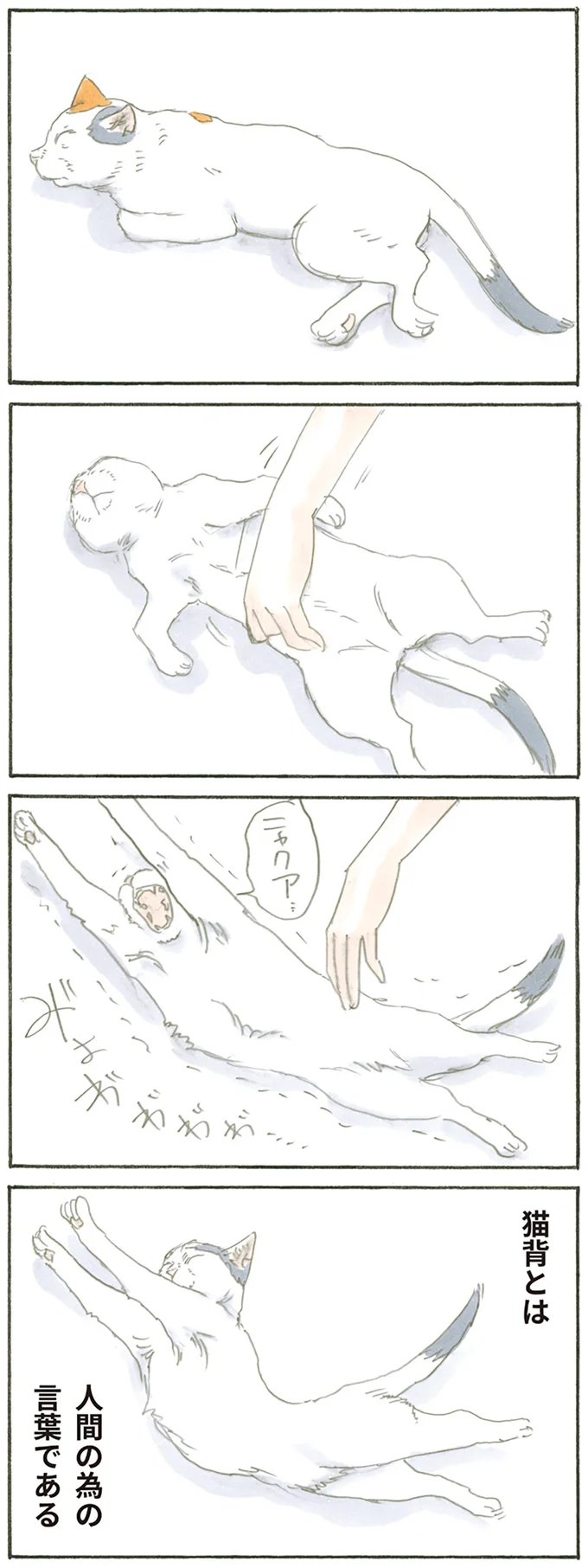 『拾い猫のモチャ1～8』 15809919.webp