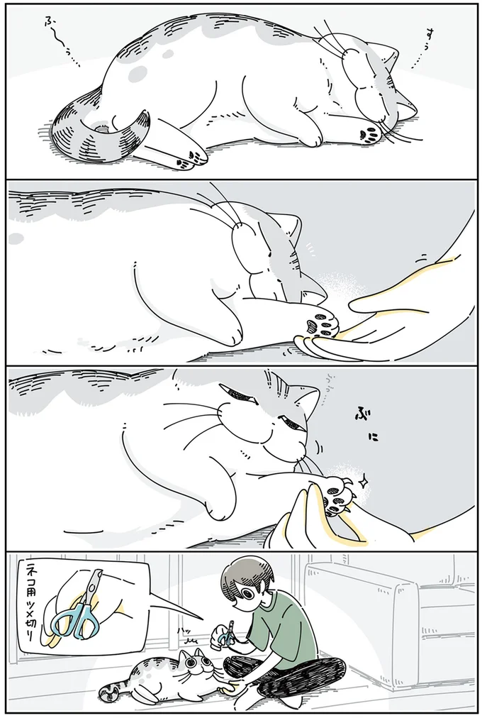 『夜は猫といっしょ』4～6 15811041.webp