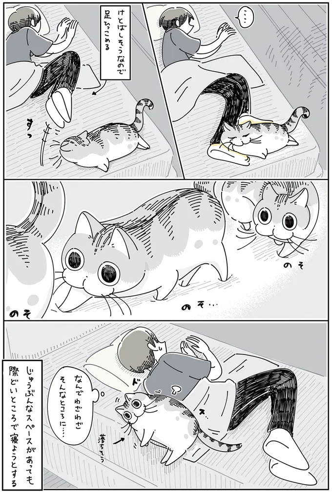 『夜は猫といっしょ』4～6 15811046.webp