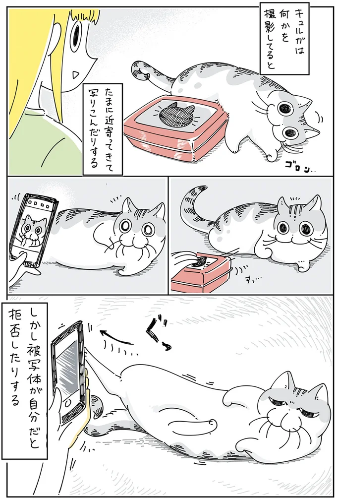 『夜は猫といっしょ』4～6 15811071.webp
