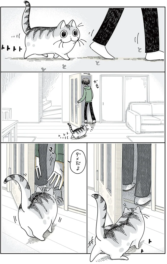 『夜は猫といっしょ』4～6 15811178.webp