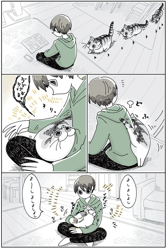 『夜は猫といっしょ』4～6 15811419.webp