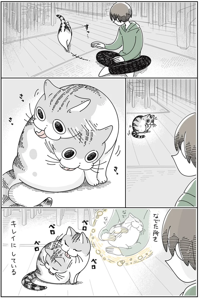 『夜は猫といっしょ』4～6 15811420.webp