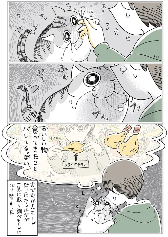 『夜は猫といっしょ』4～6 15811561.webp