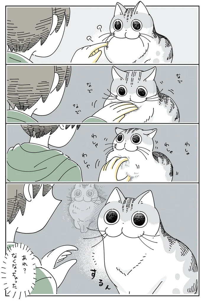 『夜は猫といっしょ』4～6 15811563.webp