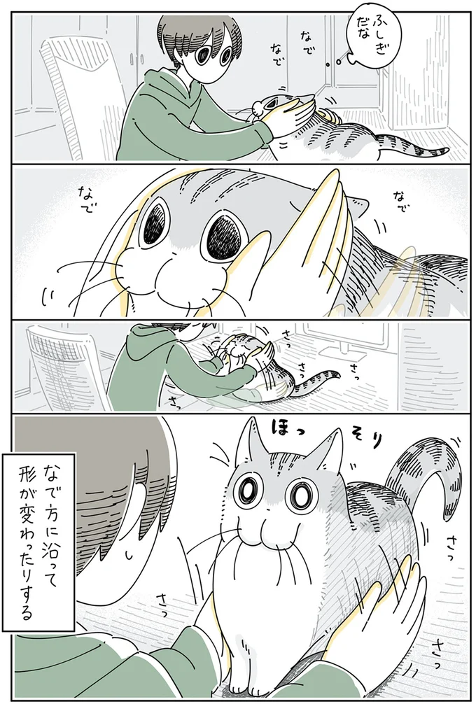 『夜は猫といっしょ』4～6 15811564.webp