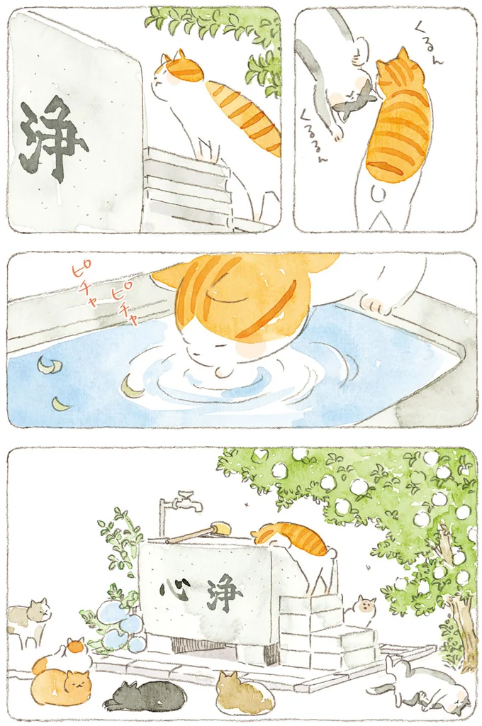 『ねことじいちゃん』6～11 15824526.webp