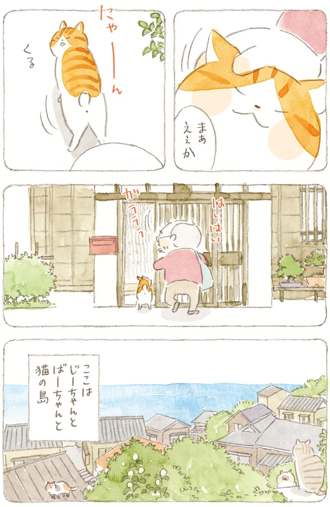 『ねことじいちゃん』6～11 15824531.webp