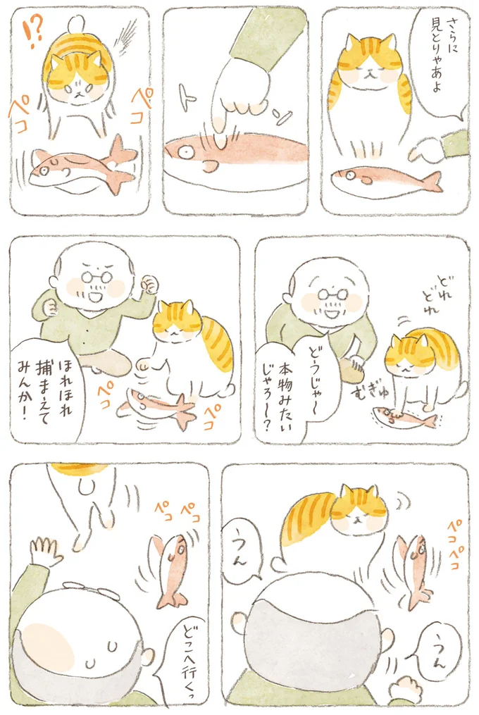 『ねことじいちゃん』6～11 15824566.webp