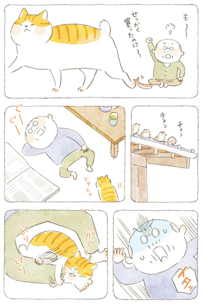 『ねことじいちゃん』6～11 15824567.webp
