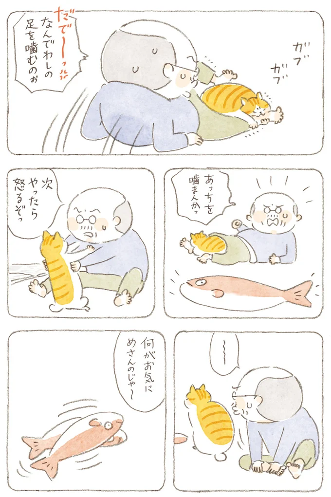 『ねことじいちゃん』6～11 15824568.webp