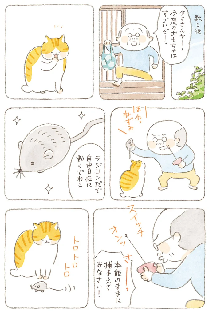 『ねことじいちゃん』6～11 15824569.webp