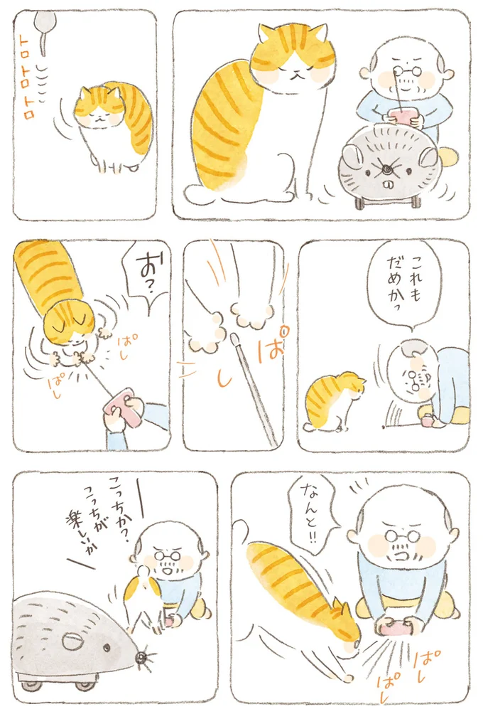 『ねことじいちゃん』6～11 15824570.webp