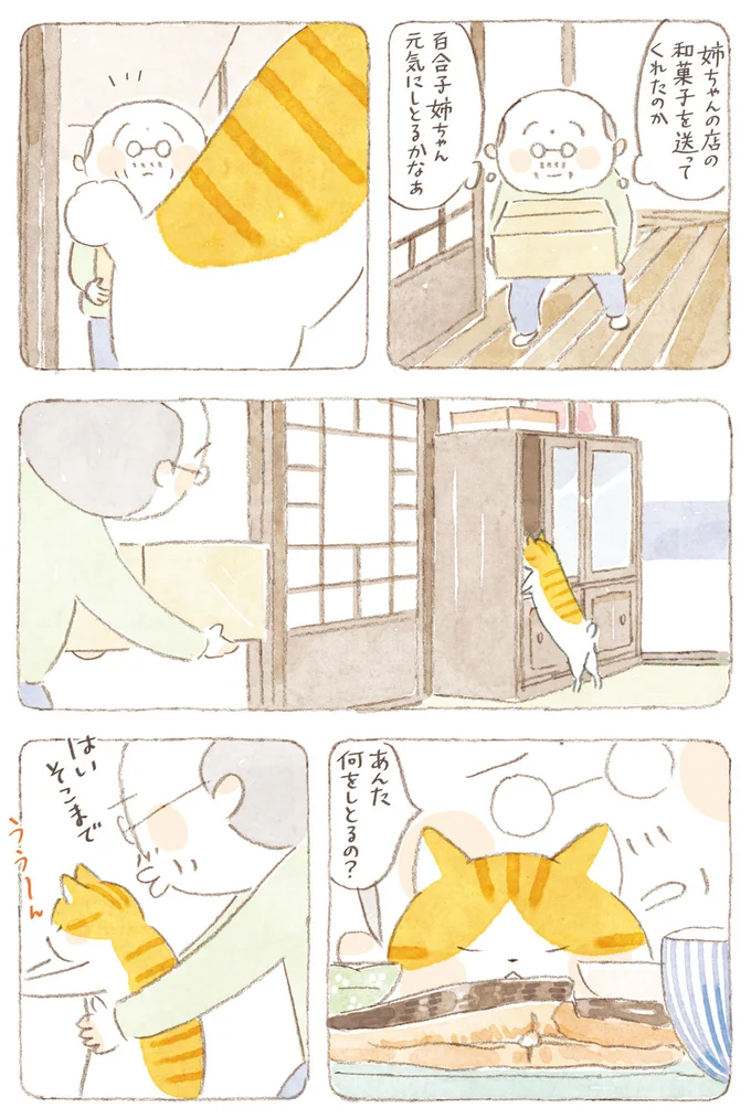 『ねことじいちゃん』6～11 15824600.webp