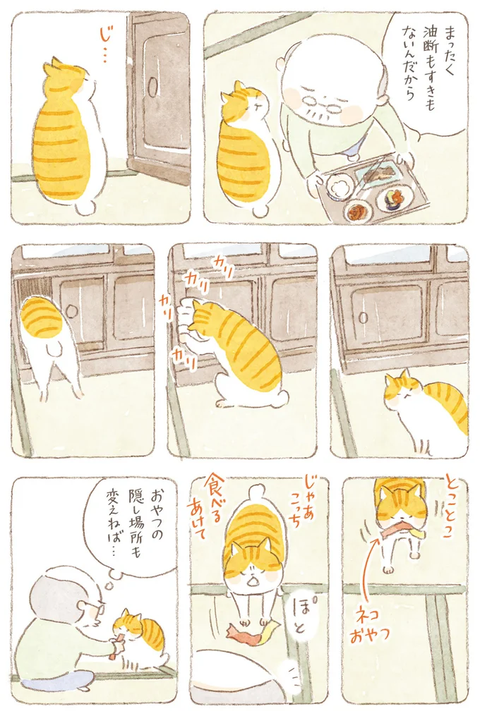 『ねことじいちゃん』6～11 15824601.webp