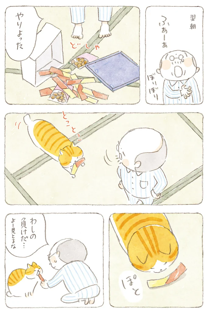 『ねことじいちゃん』6～11 15824603.webp
