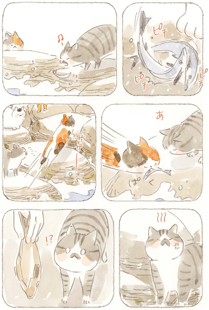 『ねことじいちゃん』6～11 15824610.webp