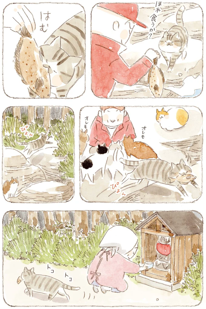 『ねことじいちゃん』6～11 15824611.webp