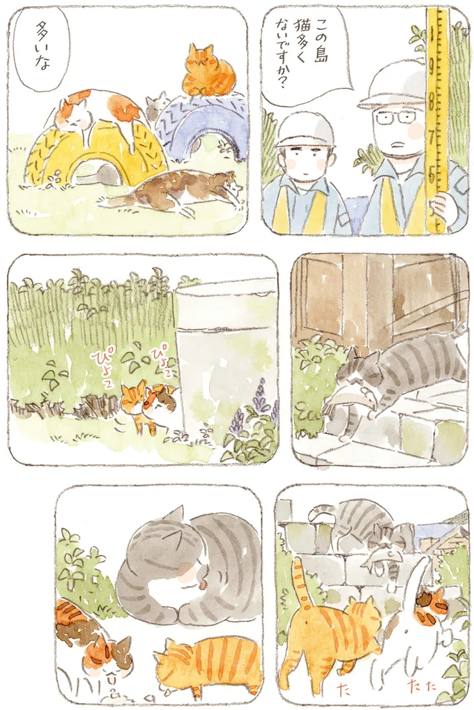 『ねことじいちゃん』6～11 15824613.webp