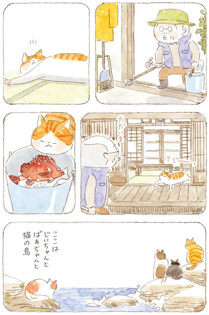 『ねことじいちゃん』6～11 15824614.webp