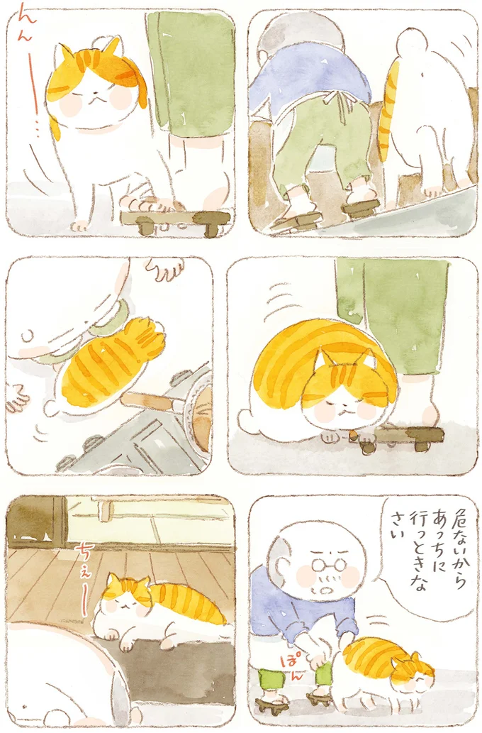『ねことじいちゃん』6～11 15824647.webp
