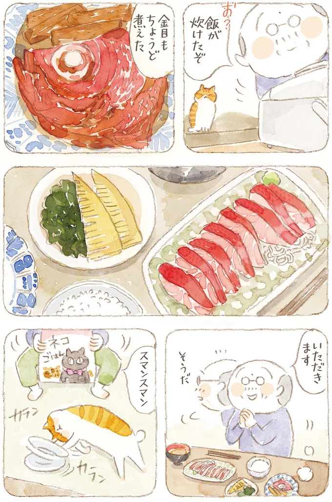『ねことじいちゃん』6～11 15824650.webp