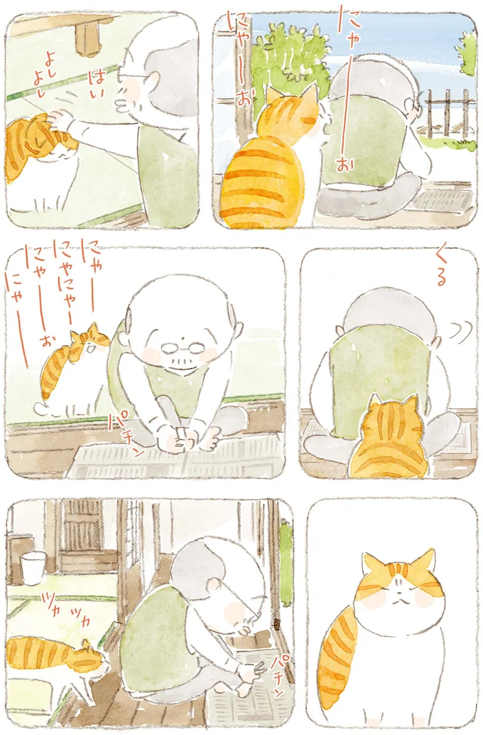 『ねことじいちゃん』6～11 15824657.webp