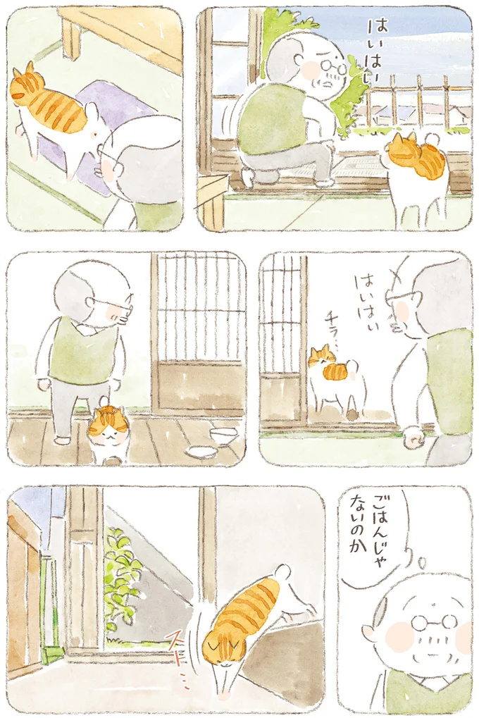 『ねことじいちゃん』6～11 15824659.webp