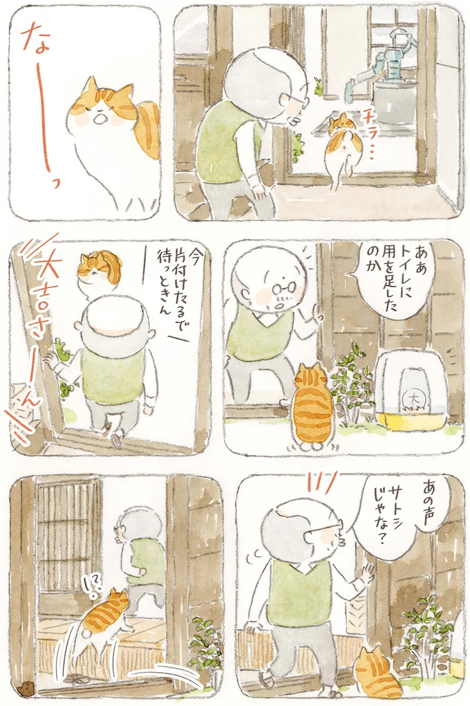 『ねことじいちゃん』6～11 15824660.webp