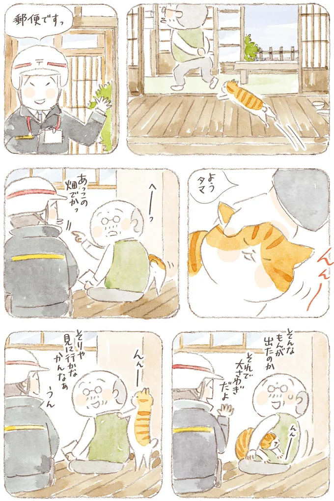 『ねことじいちゃん』6～11 15824661.webp